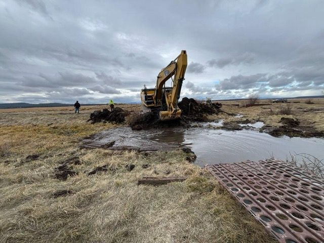 Water flowing through a fresh cut beside the excavator.